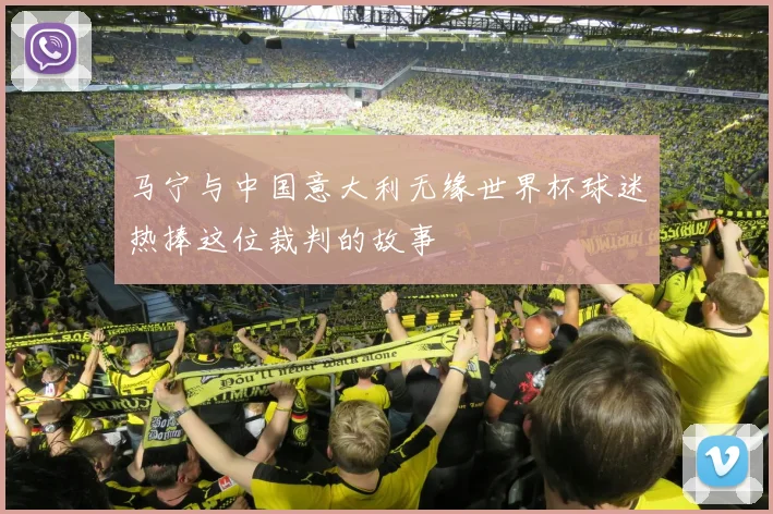 马宁与中国意大利无缘世界杯球迷热捧这位裁判的故事