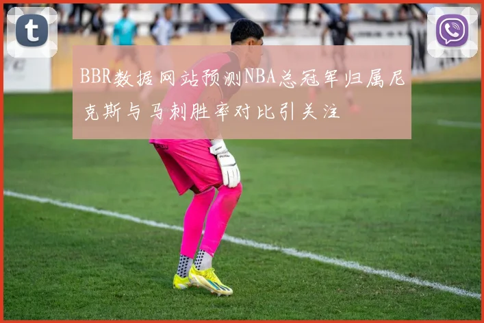 BBR数据网站预测NBA总冠军归属尼克斯与马刺胜率对比引关注